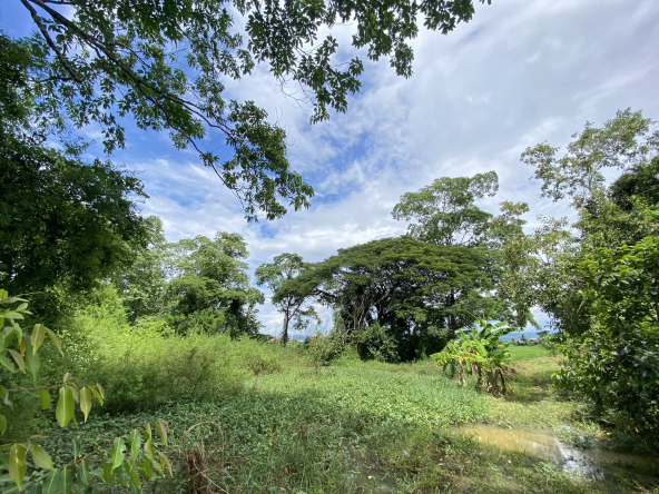 14-3-82 Rai of land for sale near San Kamphaeng-SHG-LS102