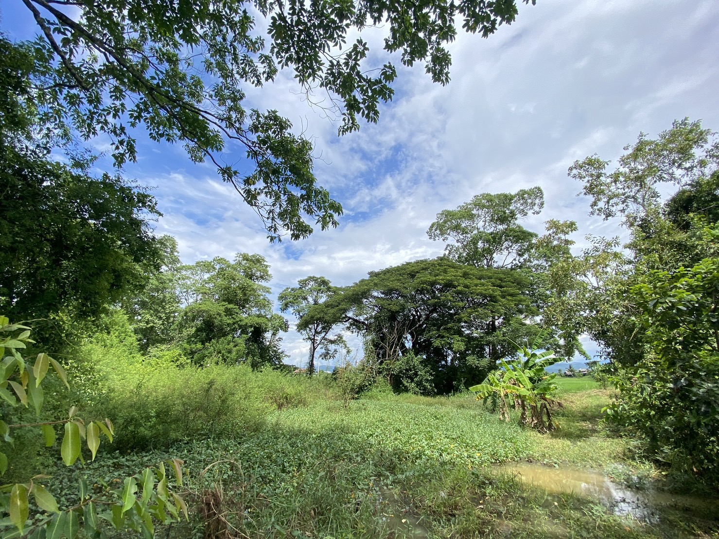 14-3-82 Rai of land for sale near San Kamphaeng-SHG-LS102