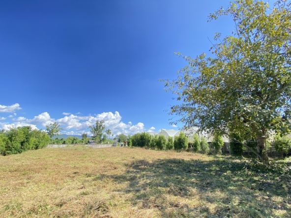 Beautiful 1 Rai plot of land for sale in Mae Faek