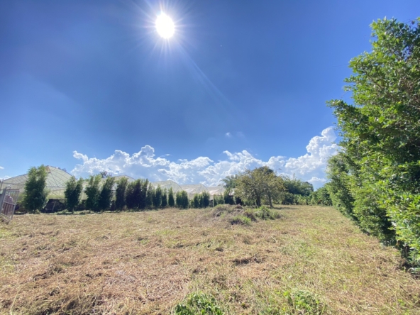 Beautiful 1 Rai plot of land for sale in Mae Faek