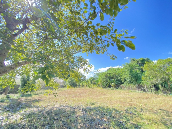 Beautiful 1 Rai plot of land for sale in Mae Faek