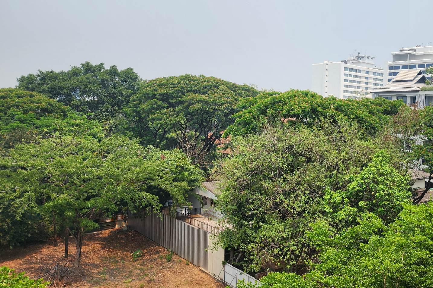 6th Floor Two Bedroom Condominium in Twin Peaks-TNP-D1069