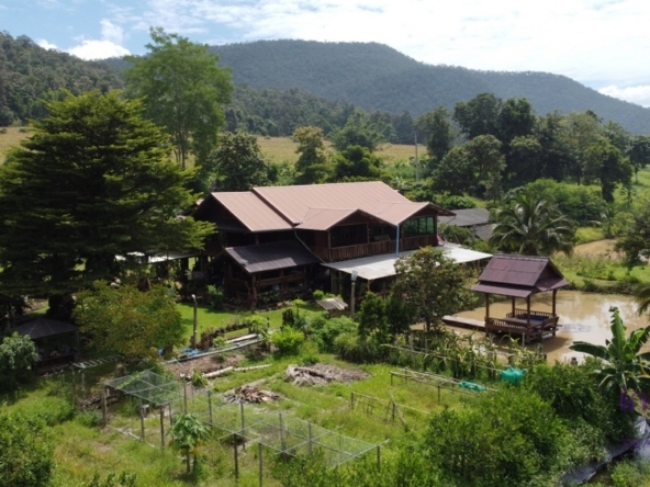 Chiang Mai-I-3931