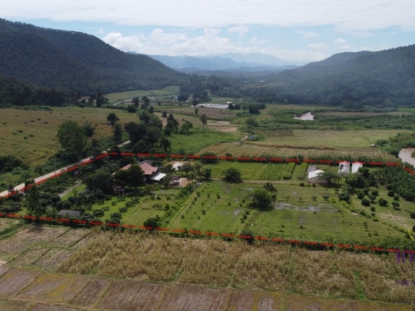 Countryside living. Riverfront 4 Bedroom teak house on a farm surrounded by beautiful mountain view. Chiang Dao