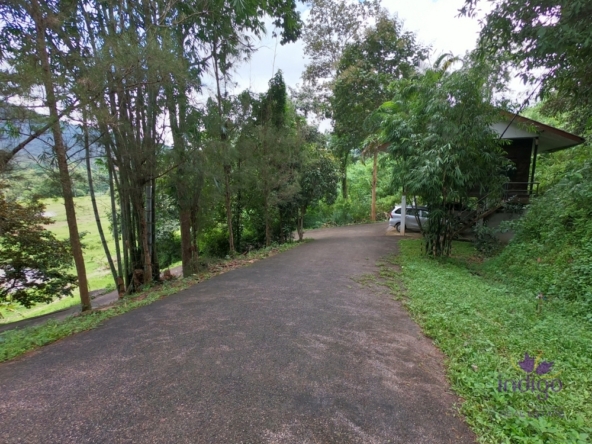 Chiang Mai-I-3753