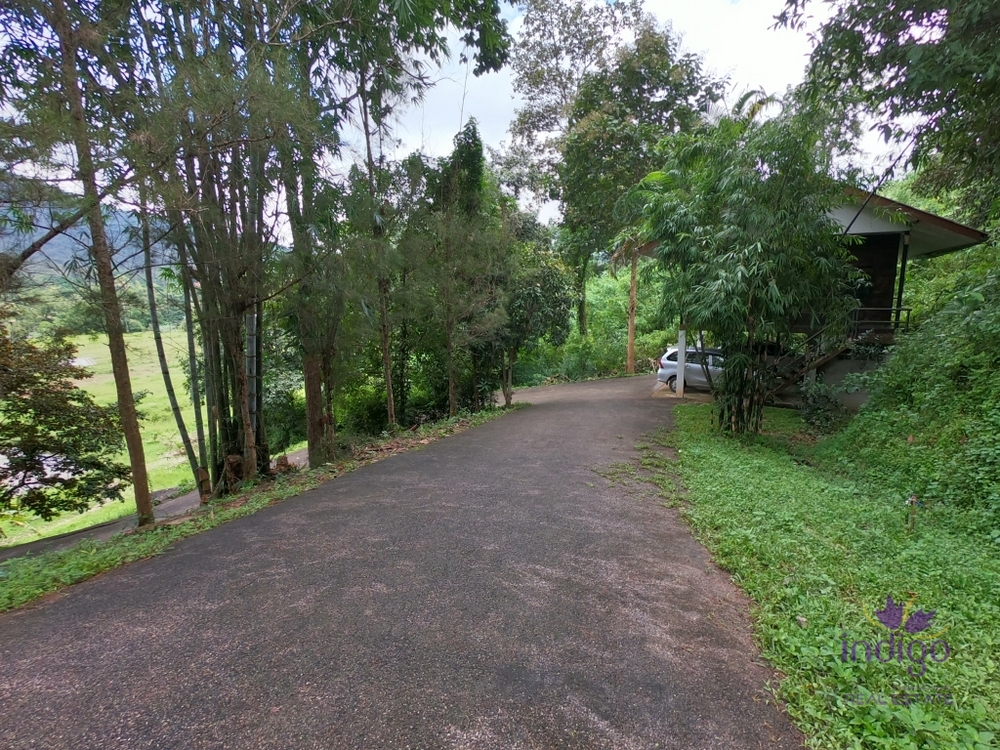 Chiang Mai-I-3753