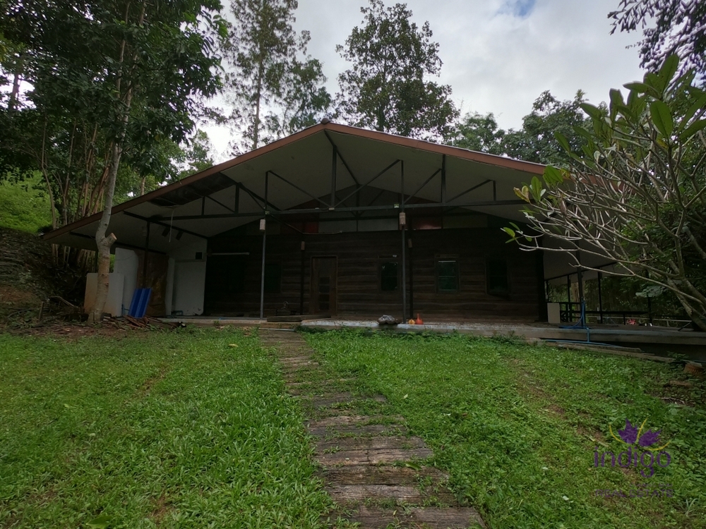 Beautiful Property with 2 houses with wonderful mountain and valley view in Sankampheng