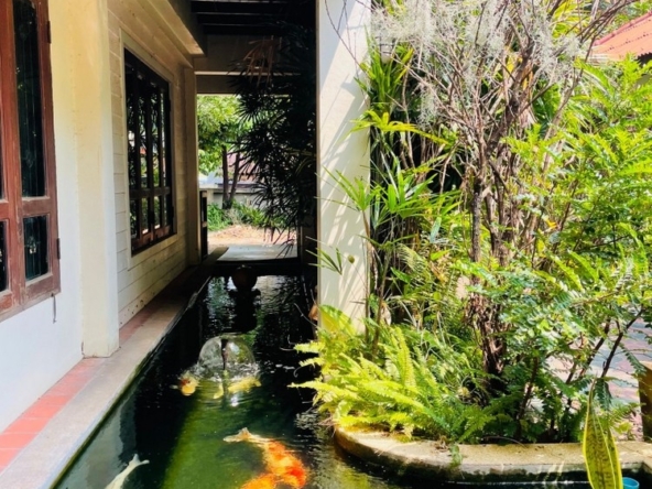 House for sale behind Umong temple near CMU Muang