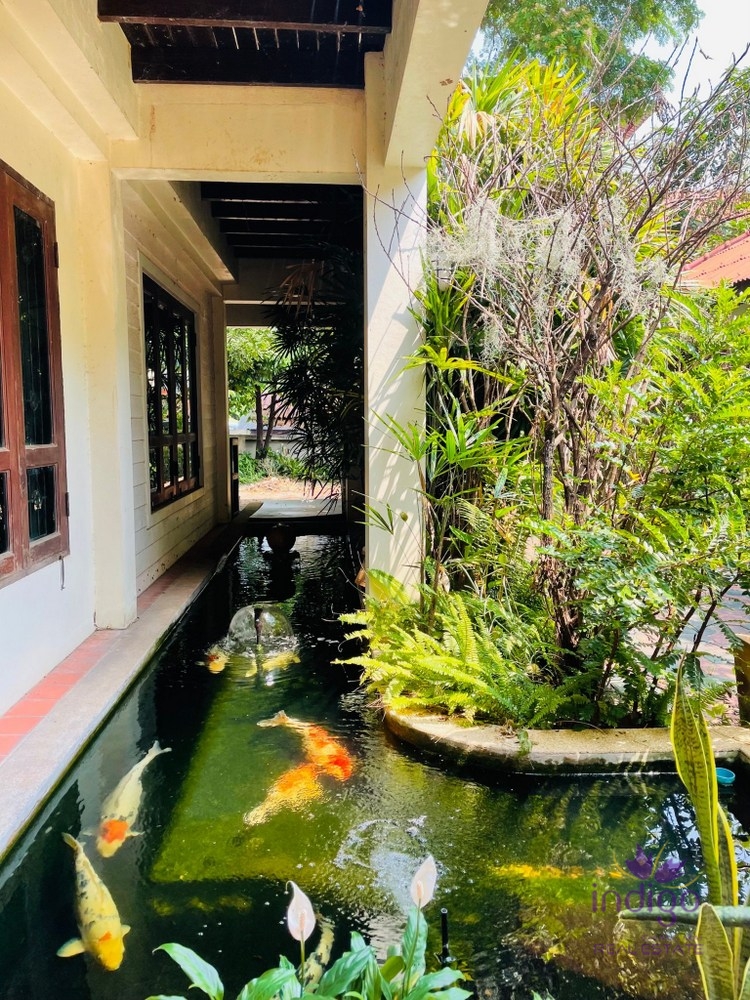 House for sale behind Umong temple near CMU Muang
