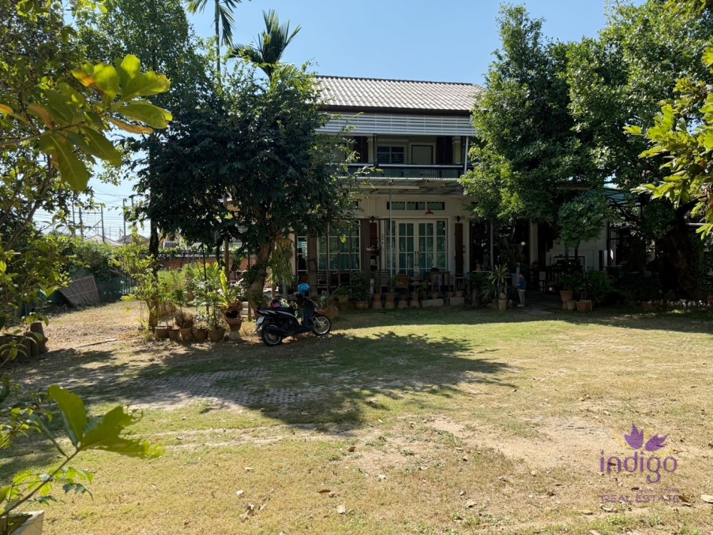 Charming property in a peaceful area in Chiang Mai city with 3 houses. Lots of potential as a family estate or for property development. Large land.-I-4140