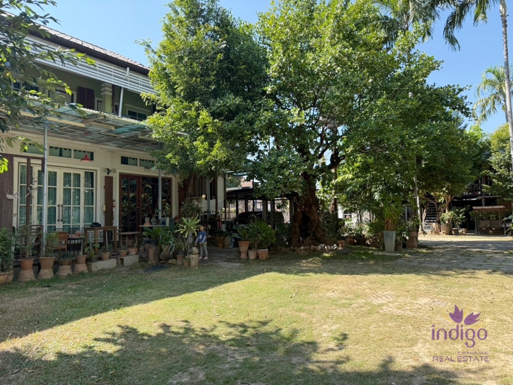Charming property in a peaceful area in Chiang Mai city with 3 houses. Lots of potential as a family estate or for property development. Large land.-I-4140