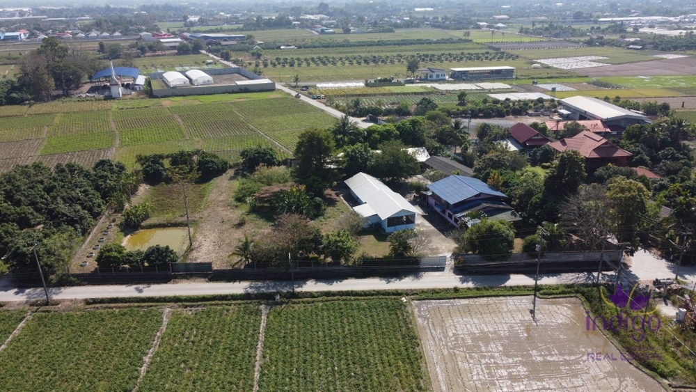 Chiang Mai-I-3800