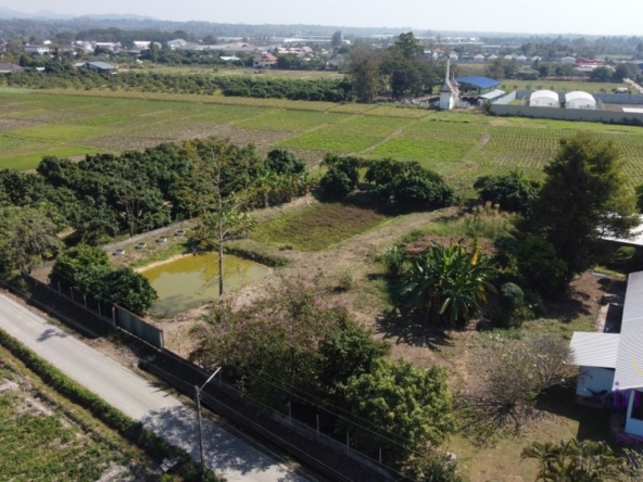 House for sale 3 bedroom land size 3 Rai 2 Ngan 55 sqw Sansai