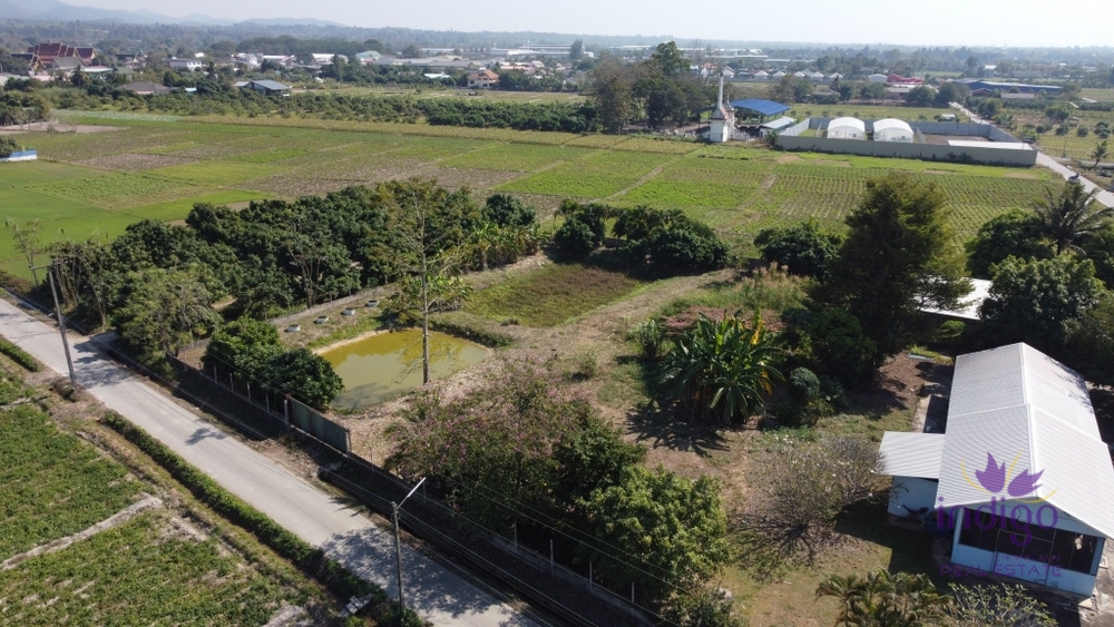 House for sale 3 bedroom land size 3 Rai 2 Ngan 55 sqw Sansai