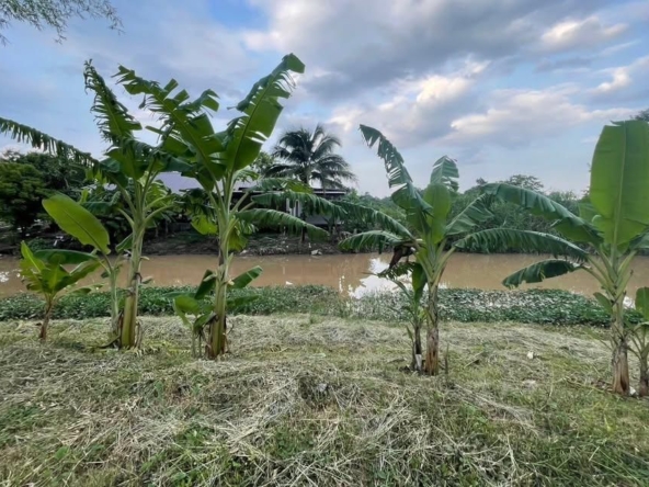 Charming 2-Bedroom Mae Rim Cottage by River-TNP-D1197
