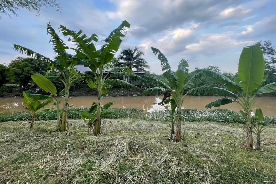 Charming 2-Bedroom Mae Rim Cottage by River-TNP-D1197