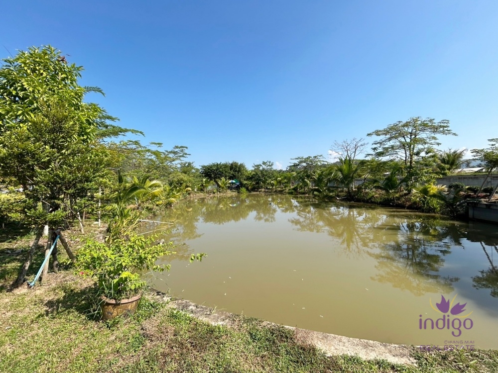 Chiang Mai-I-3749