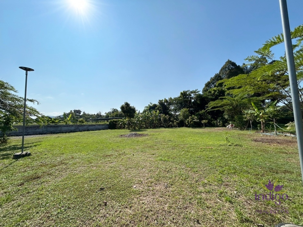 Established farm with fruit trees