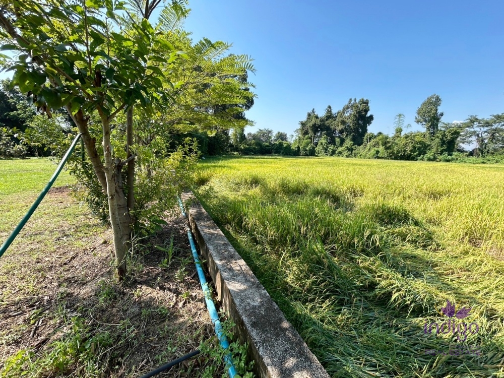Chiang Mai-I-3749