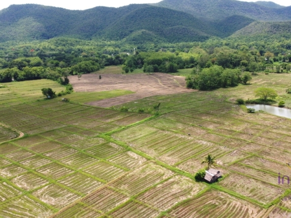 peaceful area only 30 min from Chiang Mai city.-I-3979