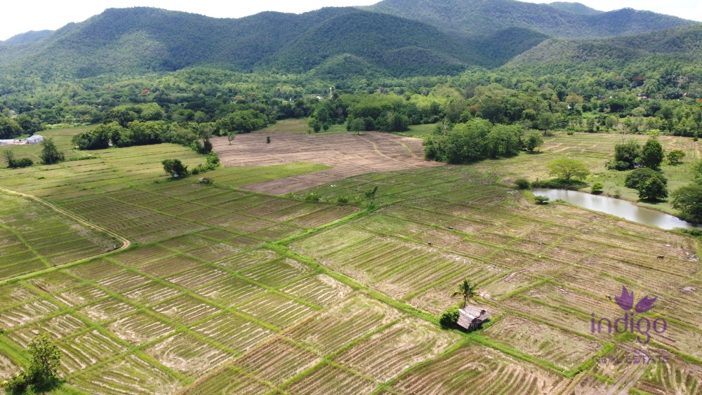 peaceful area only 30 min from Chiang Mai city.-I-3979