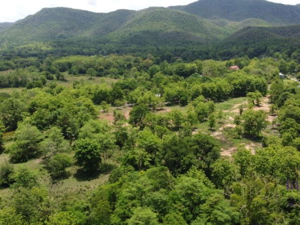 Beautiful 48 rai 3 ngan property with beautiful view of lakes and hills in a lovely