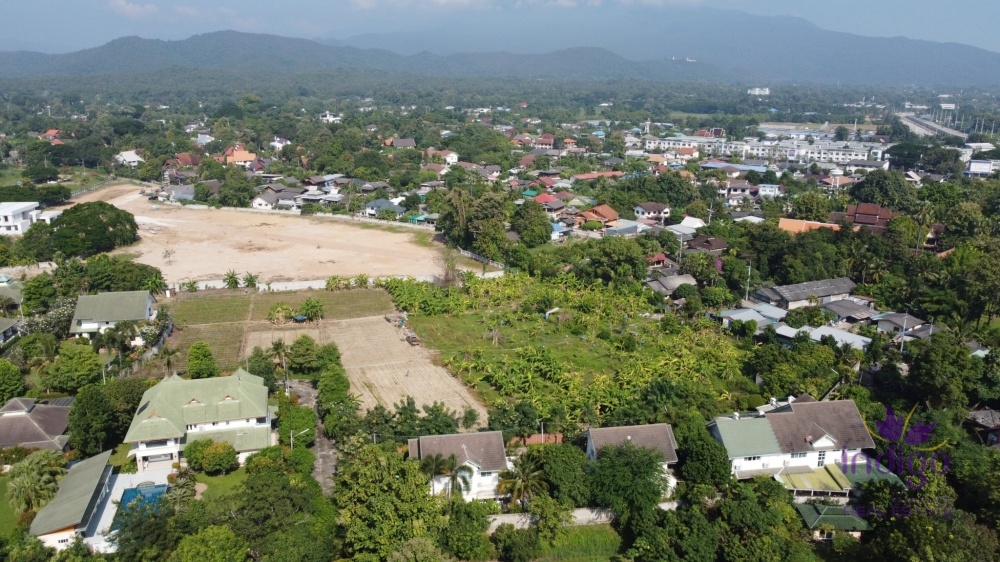 Prime Land for Sale 7 Rai 44 sqw near Wat Ton Kwen  in Nong Khwai