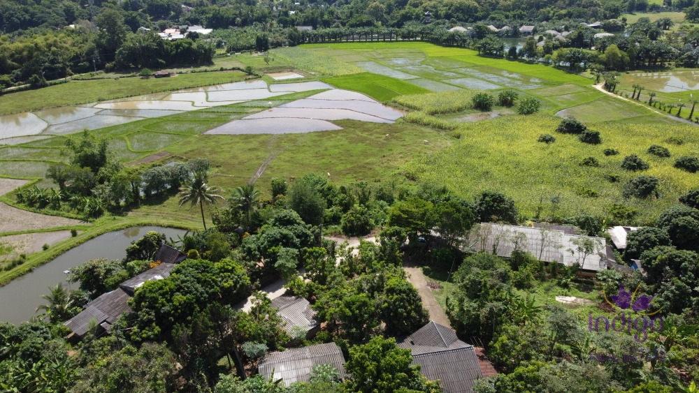 Beautiful plots of rice field land for sale in Saluang