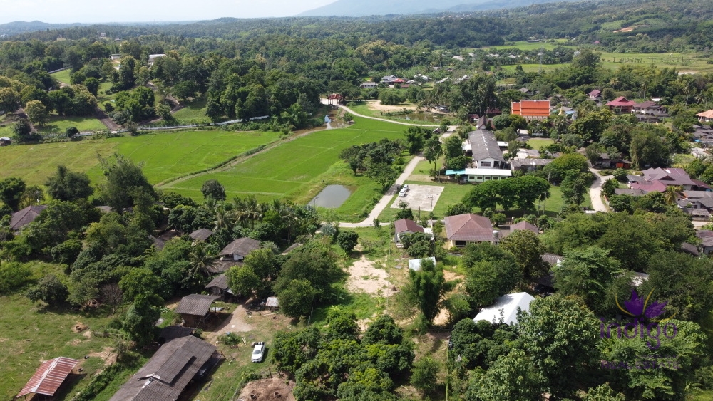 Beautiful plots of rice field land for sale in Saluang