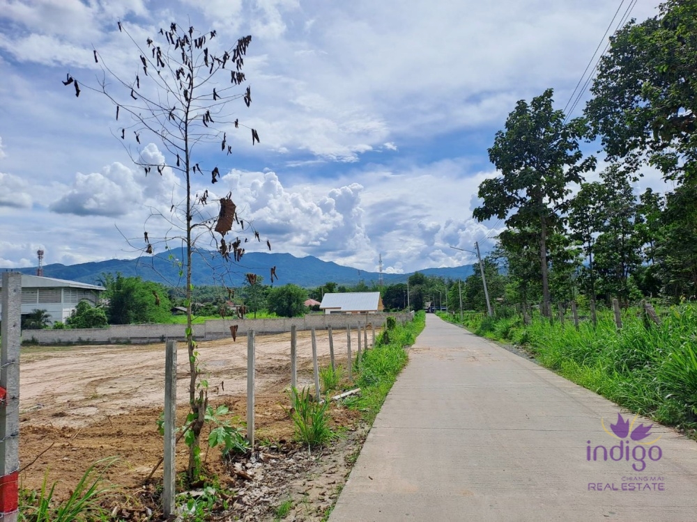Land for sale 2 plots