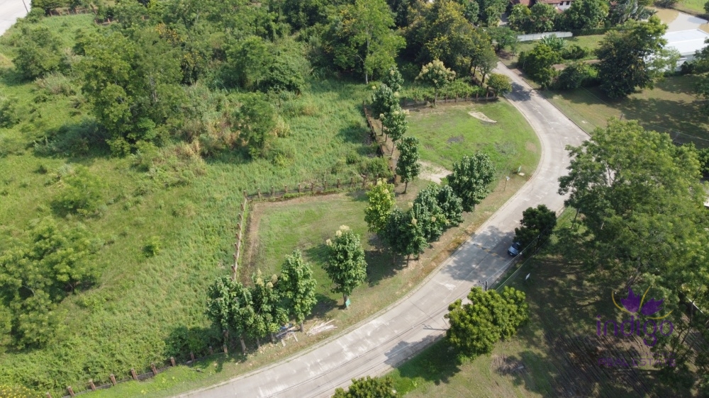 Chiang Mai-I-4090