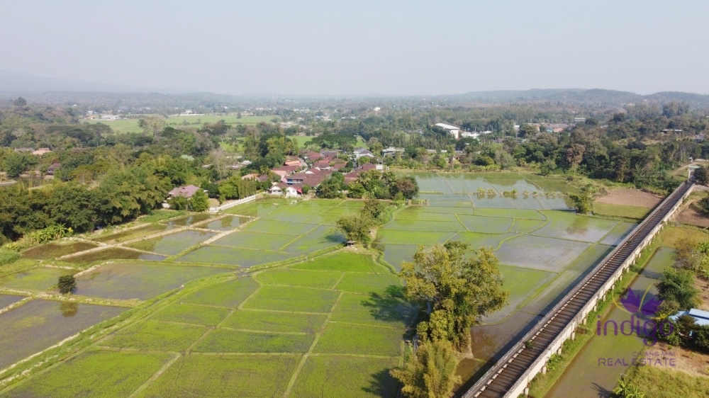 Spacious paddy field