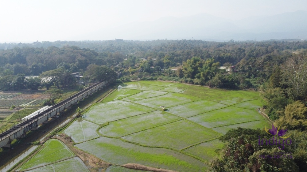 Land for sale: 14 Rai 2 Ngan 51 Square Wah