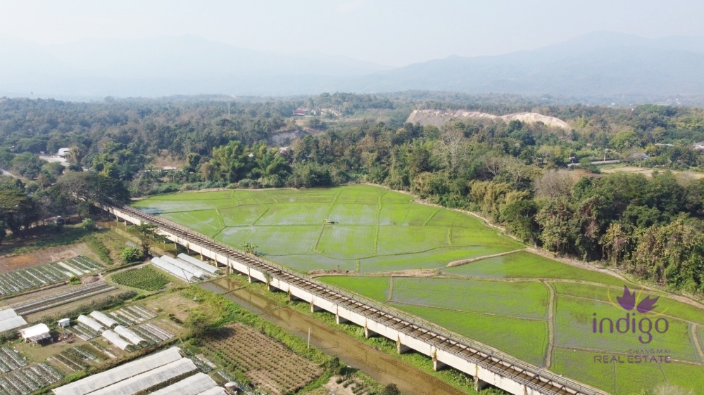 Spacious paddy field