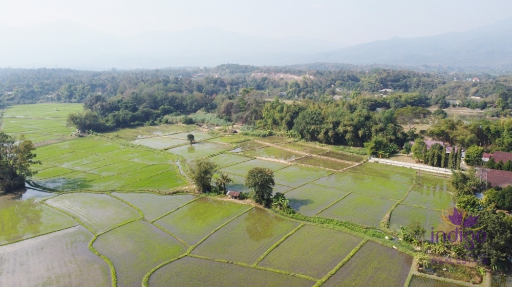 Mae Rim