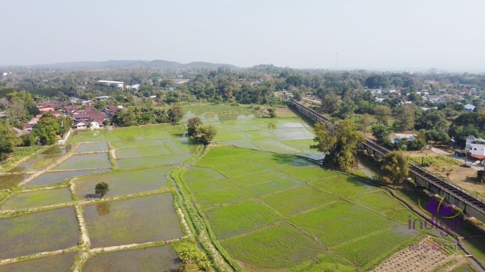 Chiang Mai.-I-4149