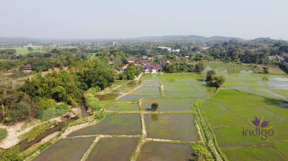 Land for sale: 14 Rai 2 Ngan 51 Square Wah