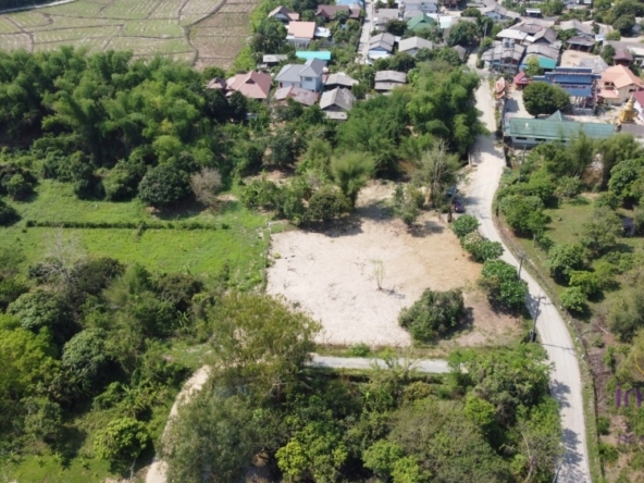 Chiang Mai-I-4187
