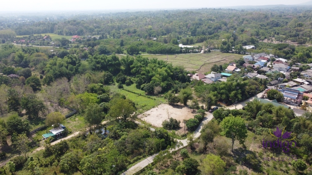 Land for sale 2 Rai 2 Ngan 36 Sqw near Four season hotel and Tiger Kingdom