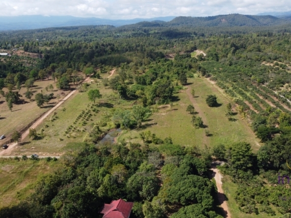 Land for sale 12 Rai