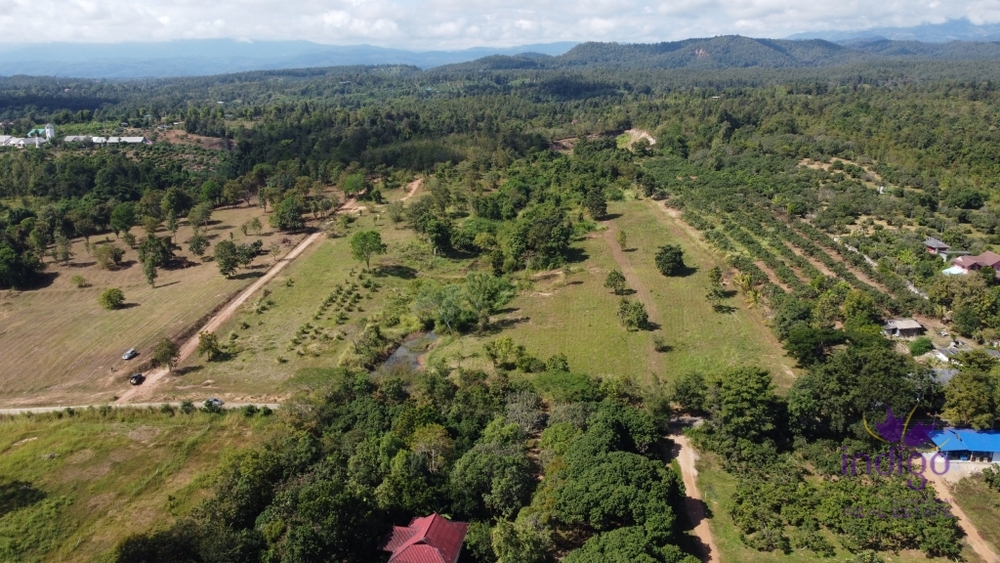 Land for sale 12 Rai