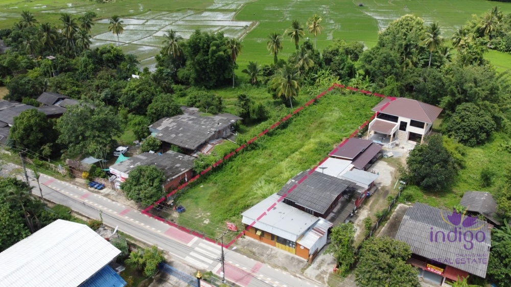 near Sanpayang temple and Sanpayang school