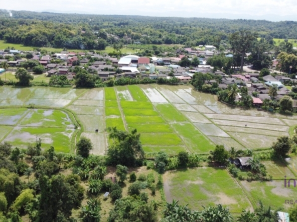 Chiang Mai-I-4065