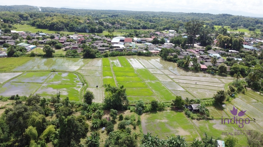 Chiang Mai-I-4065