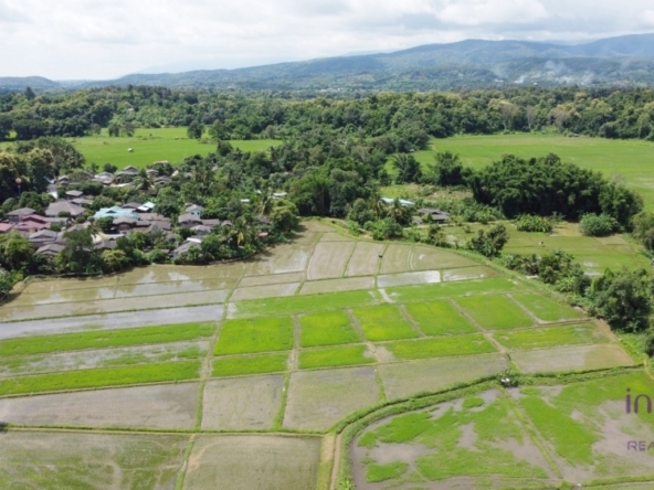 near Sanpayang temple and Sanpayang school