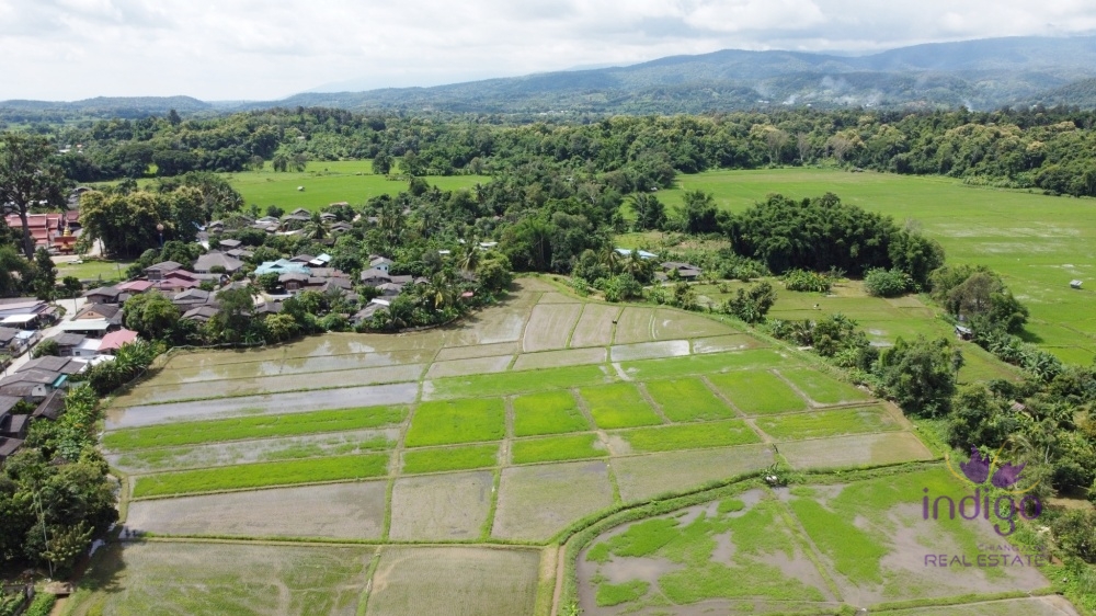 near Sanpayang temple and Sanpayang school