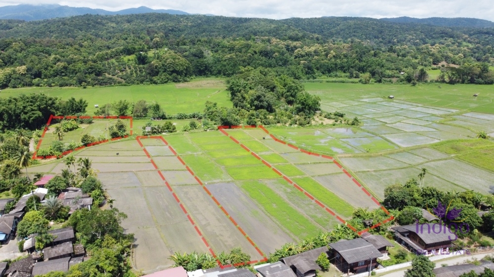 Land for sale 5 Rai 3 Ngan 92 Sqw