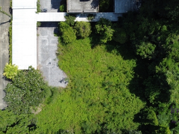 Land for sale 328 sqw at Mae Hia