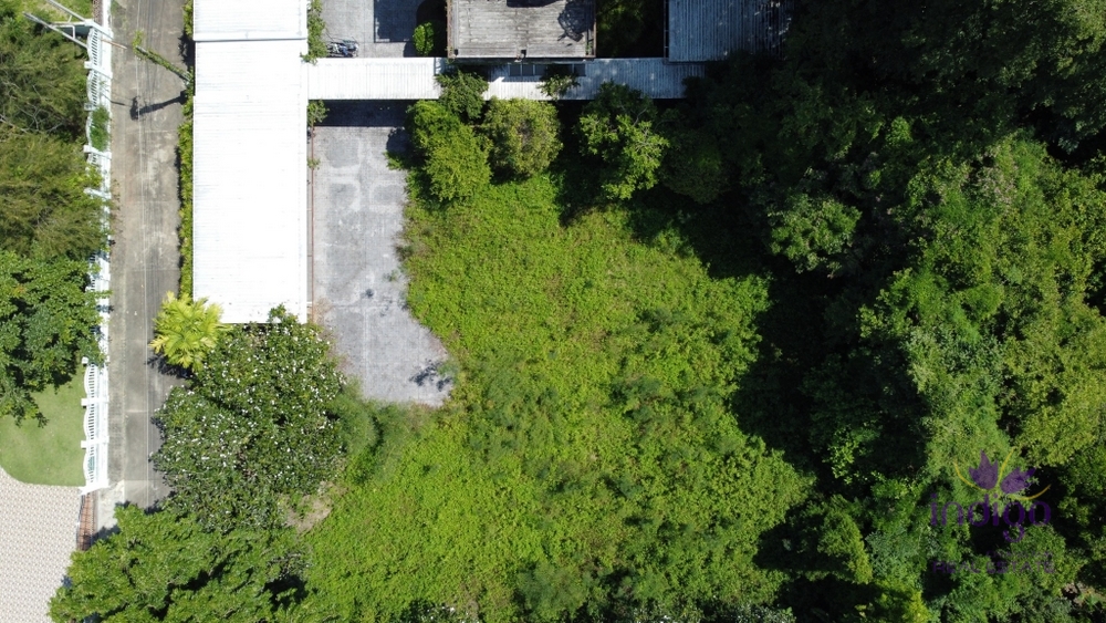 Land for sale 328 sqw at Mae Hia