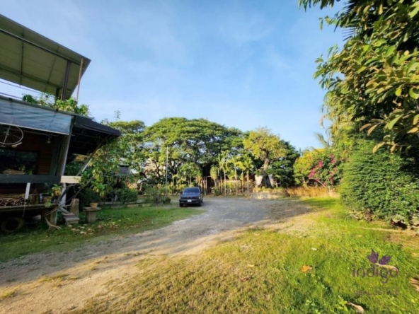 Chiang Mai-I-4142